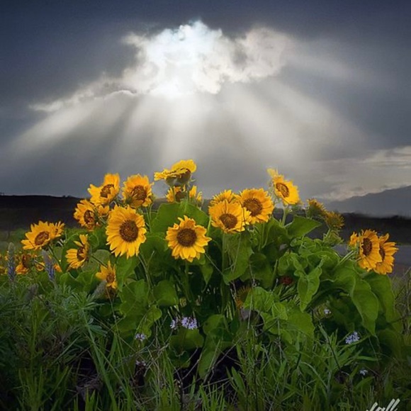 Meet your Posher, Hayli - Picture 1 of 1